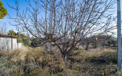 Resale - Finca - Country Property -
Pinoso