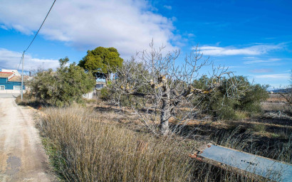 Resale - Finca - Country Property -
Pinoso