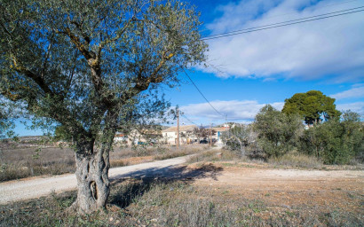 Resale - Finca - Country Property -
Pinoso