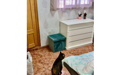 Resale - Apartment -
Benidorm - Playa de Poniente