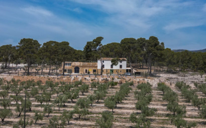 Herverkoop - Others -
Castalla