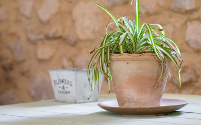 Herverkoop - Others -
Castalla