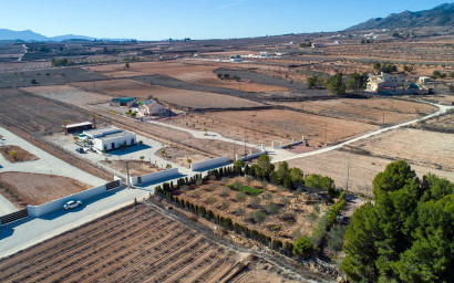 Resale - Finca - Country Property -
Pinoso - Campo