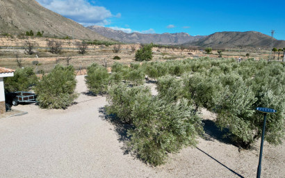 Resale - Villa -
Macisvenda