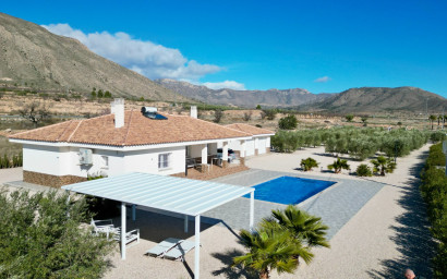 Resale - Villa -
Macisvenda