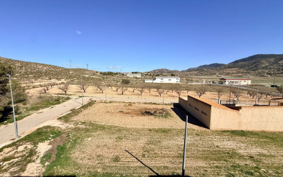 Herverkoop - Plat -
Hondón de los Fráiles