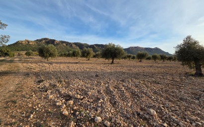 Herverkoop - Land -
Jumilla