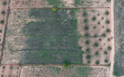 Resale - Land -
Jumilla