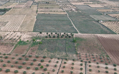 Resale - Land -
Jumilla