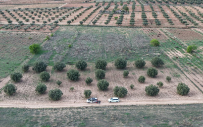 Resale - Land -
Jumilla