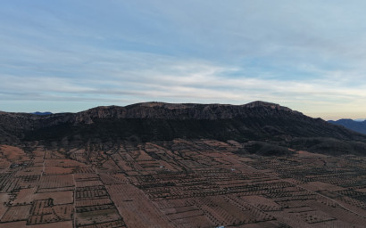 Herverkoop - Land -
Jumilla