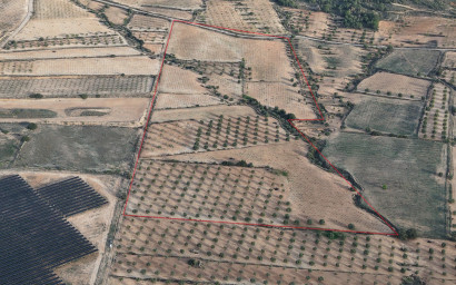 Herverkoop - Land -
Jumilla