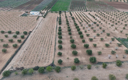 Resale - Land -
Jumilla