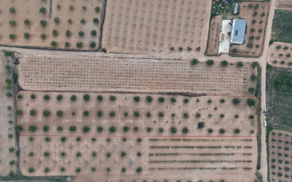 Resale - Land -
Jumilla