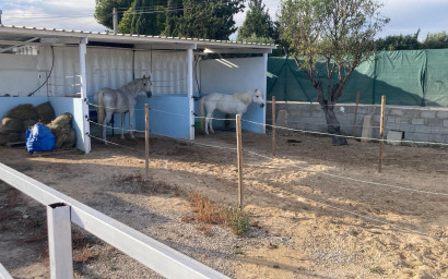 Resale - Finca - Country Property -
Crevillente