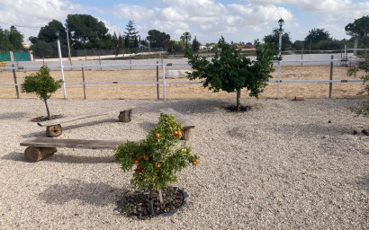 Resale - Finca - Country Property -
Crevillente