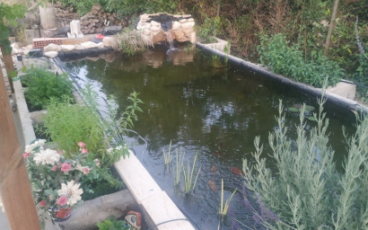 Resale - Finca - Country Property -
Crevillente