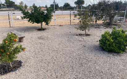 Resale - Finca - Country Property -
Crevillente