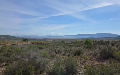 Resale - Land -
Yecla