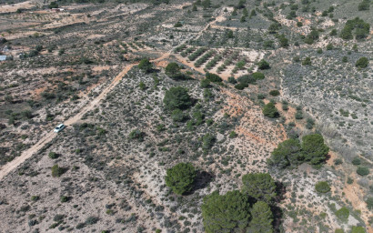 Resale - Land -
Yecla