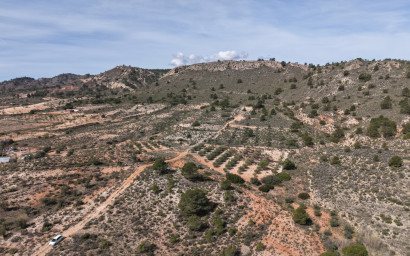 Resale - Land -
Yecla