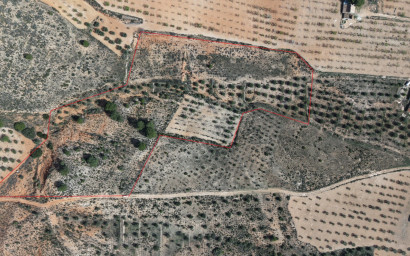 Resale - Land -
Yecla