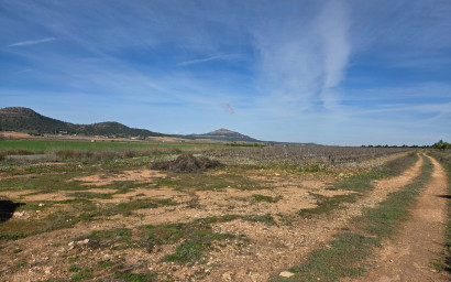 Resale - Land -
Yecla