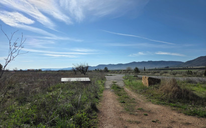 Resale - Land -
Yecla