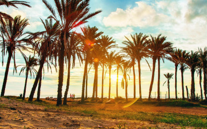 Resale - Townhouse -
Torrevieja - Los Balcones - Los Altos del Edén