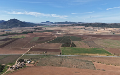 Resale - Land -
Yecla