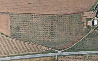 Resale - Land -
Yecla