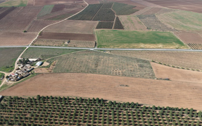 Resale - Land -
Yecla