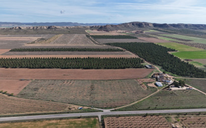 Resale - Land -
Yecla