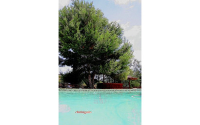 Resale - Villa -
Gea Truyols - Gea y Trujols