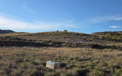 Herverkoop - Land -
Yecla