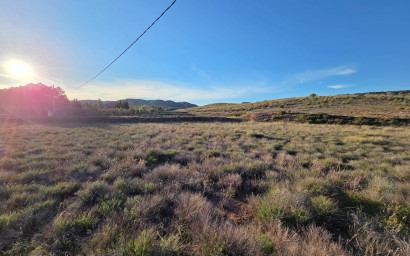 Herverkoop - Land -
Yecla