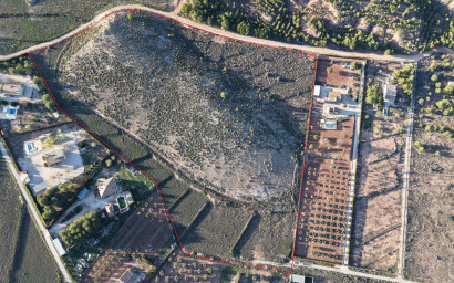 Herverkoop - Land -
Yecla