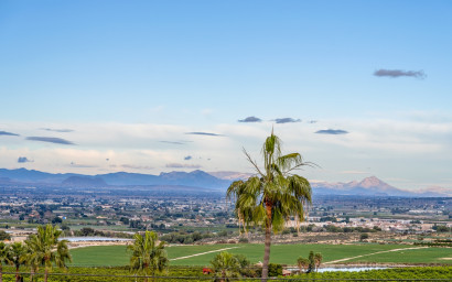 Resale - Villa -
Algorfa - Lomas De La Juliana