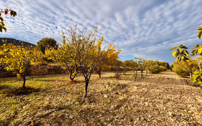 Resale - Villa -
Monóvar - Monovar