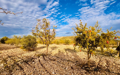 Resale - Villa -
Monóvar - Monovar