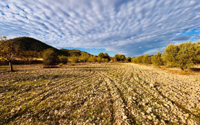 Resale - Villa -
Monóvar - Monovar