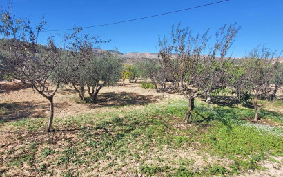 Herverkoop - Villa -
La Romana