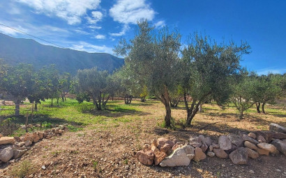 Herverkoop - Villa -
La Romana