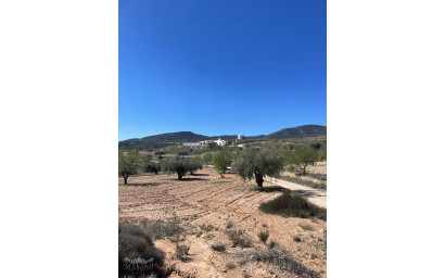 Resale - Finca - Country Property -
Raspay - Raspay Murcia