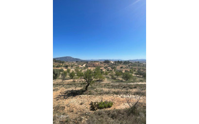 Resale - Finca - Country Property -
Raspay - Raspay Murcia