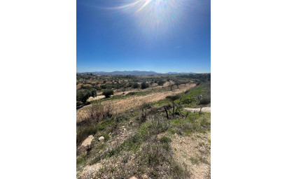 Resale - Finca - Country Property -
Raspay - Raspay Murcia