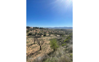 Resale - Finca - Country Property -
Raspay - Raspay Murcia