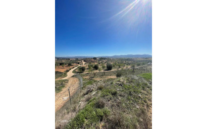 Resale - Finca - Country Property -
Raspay - Raspay Murcia