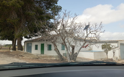 Resale - Finca - Country Property -
Yecla