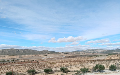 Nieuwbouw - Villa -
Canada De La Lena